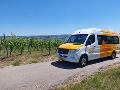 River & Wine Tour Moselle - Hop on Hop off